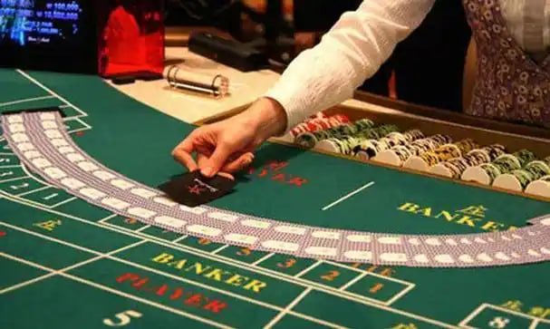 Panduan awal mpo700 untuk pemula